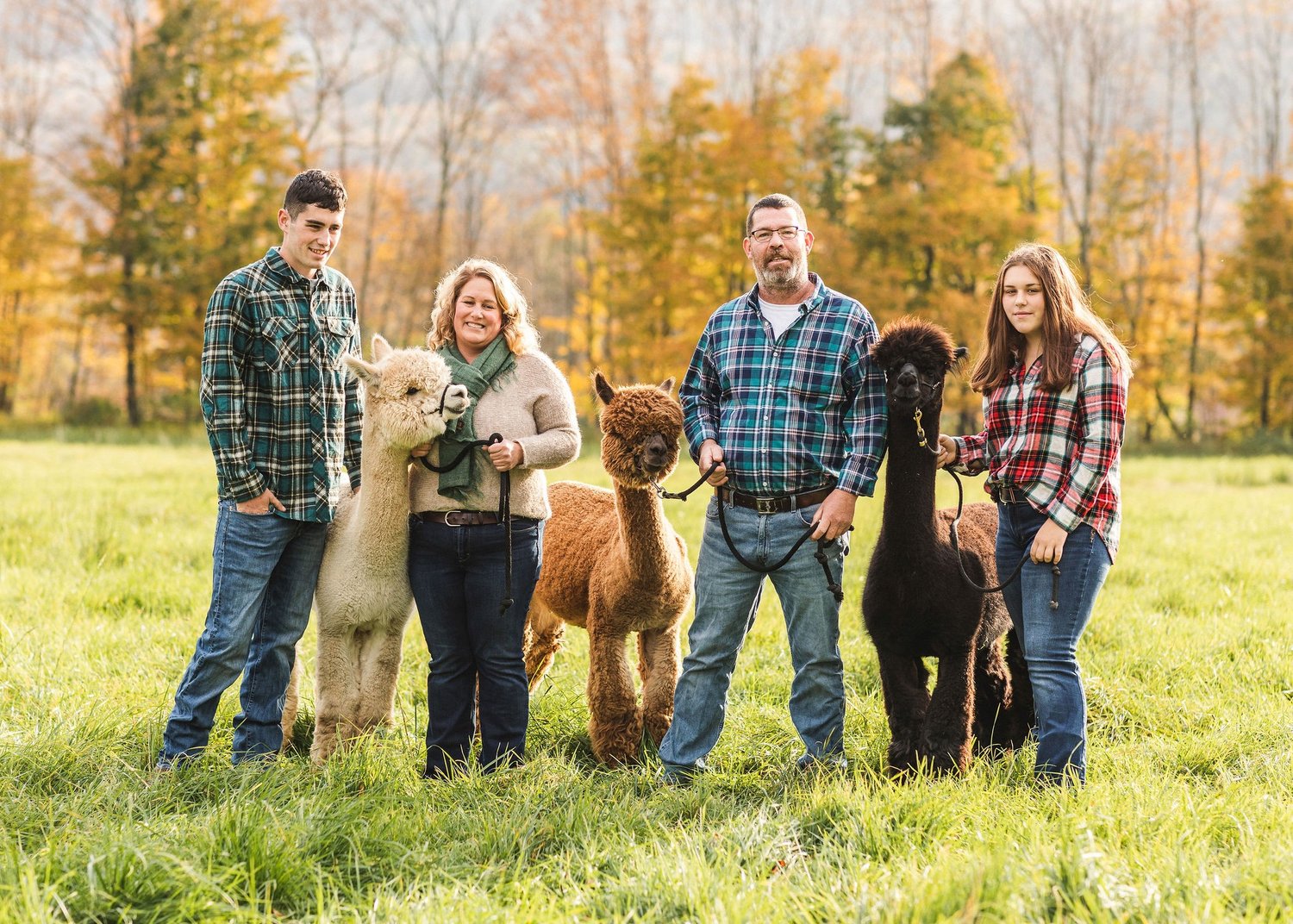 Buck Brook Alpacas was given the STAR award for business achievement by the SCVA.